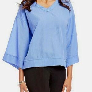 Women's Blue V-Neck Top